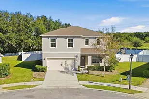 3060 Bethpage Loop, Mount Dora, FL 32757 - Photo 1