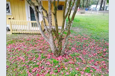 8481 Cr 636, Bushnell, FL 33513 - Photo 21