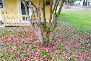 8481 Cr 636, Bushnell, FL 33513 - Photo 21