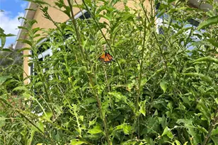 81 Twin Lake Cir, Umatilla, FL 32784 - Photo 61