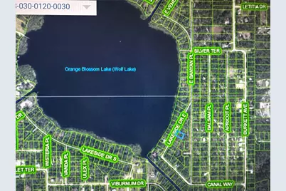 6710 Lakeside Drive E, Sebring, FL 33875 - Photo 3