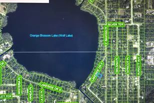 6710 Lakeside Dr E, Sebring, FL 33875 - Photo 3