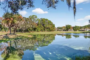 579 Juniper Way, Tavares, FL 32778 - Photo 35