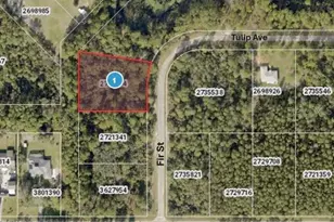 Tulip Ave, Eustis, FL 32736 - Photo 1