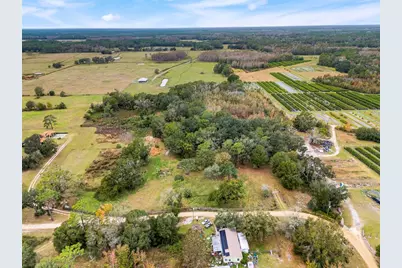 1425 Douglas Road, Groveland, FL 34736 - Photo 7