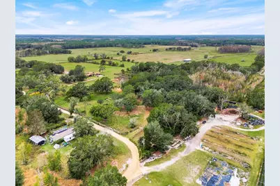 1425 Douglas Road, Groveland, FL 34736 - Photo 3