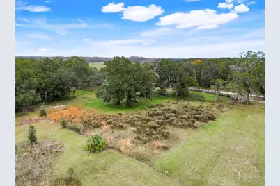 1425 Douglas Road, Groveland, FL 34736 - Photo 9