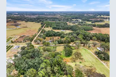1425 Douglas Road, Groveland, FL 34736 - Photo 5