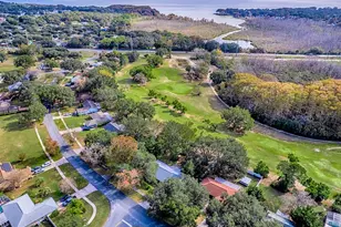 12534 Wedgefield Dr, Grand Island, FL 32735 - Photo 39