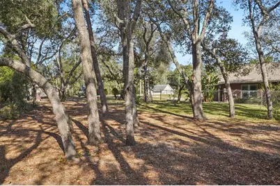 4542 Lemon Street, Lady Lake, FL 32159 - Photo 45