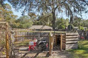 4542 Lemon St, Lady Lake, FL 32159 - Photo 19