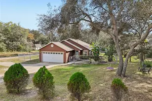 4542 Lemon St, Lady Lake, FL 32159 - Photo 49