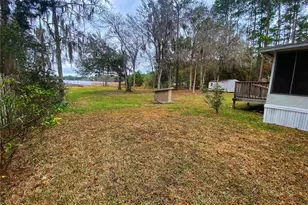 23330 NE 117th Terrace, Fort Mc Coy, FL 32134 - Photo 41