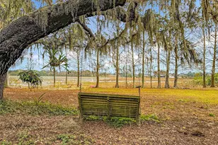 3230 Empire Church Rd, Groveland, FL 34736 - Photo 25