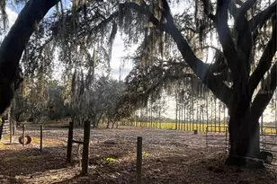 3230 Empire Church Rd, Groveland, FL 34736 - Photo 7