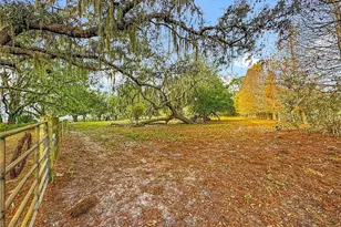 3230 Empire Church Rd, Groveland, FL 34736 - Photo 23