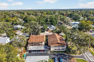 225 E 10th Ave, Mount Dora, FL 32757 - Photo 43