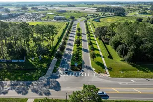 31825 Kestrel Calling Dr, San Antonio, FL 33576 - Photo 13