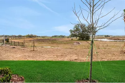 31788 Kestrel Calling Drive, San Antonio, FL 33576 - Photo 7