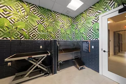 275 1st Avenue S #1005, Saint Petersburg, FL 33701 - Photo 37