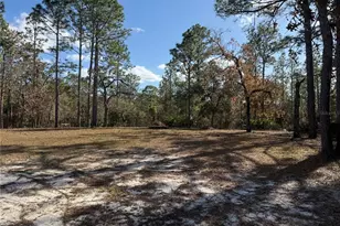 6820 W Mable Ln, Dunnellon, FL 34433 - Photo 29