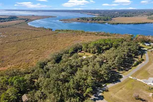 7938 Jacksons River Rd, Leesburg, FL 34788 - Photo 3