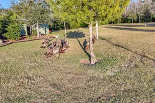 7330 Crabgrass Rd, Saint Cloud, FL 34773 - Photo 41