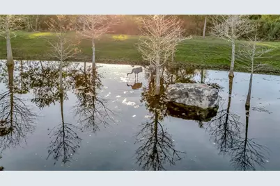 7330 Crabgrass Road, Saint Cloud, FL 34773 - Photo 43