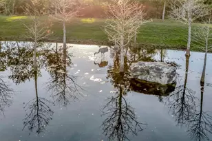 7330 Crabgrass Rd, Saint Cloud, FL 34773 - Photo 43