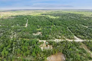 33134 Easter Dr, Ridge Manor Estates, FL 33597 - Photo 33