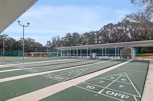 26126 Newcombe Cir, Leesburg, FL 34748 - Photo 53