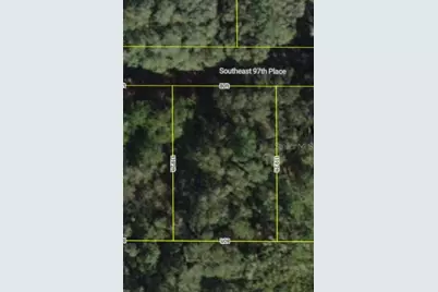 0000 SE 97th Place, Ocklawaha, FL 32179 - Photo 1