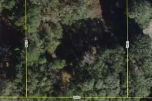 000 SE 97th Pl, Ocklawaha, FL 32179 - Photo 1
