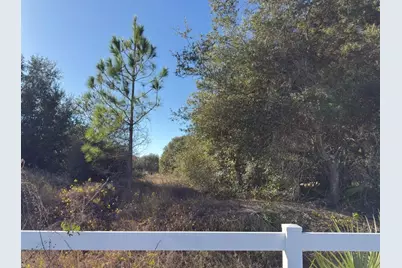 24939 County Road 33, Groveland, FL 34736 - Photo 13