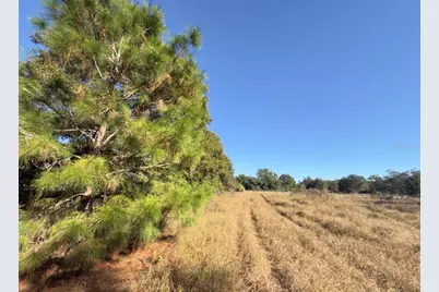 24939 County Road 33, Groveland, FL 34736 - Photo 5