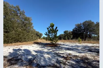24939 County Road 33, Groveland, FL 34736 - Photo 21
