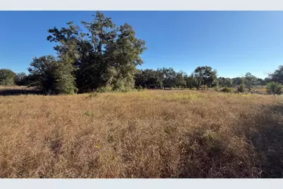 24939 County Road 33, Groveland, FL 34736 - Photo 11