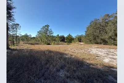 24939 County Road 33, Groveland, FL 34736 - Photo 23