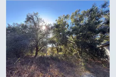24939 County Road 33, Groveland, FL 34736 - Photo 27