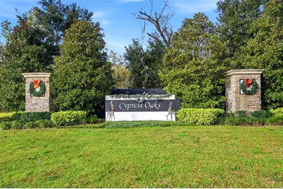 151 Maravilla Way, Groveland, FL 34736 - Photo 49