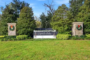 151 Maravilla Way, Groveland, FL 34736 - Photo 49