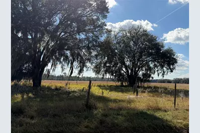 Lake Erie, Groveland, FL 34736 - Photo 3