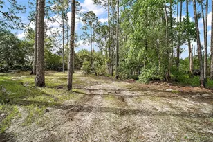 41513 Aspen St, Eustis, FL 32736 - Photo 29
