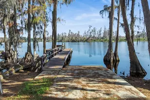 11333 Cypress Shore Ct, Clermont, FL 34711 - Photo 35