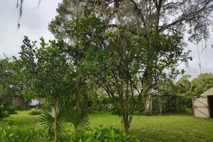 20621 SE Hwy 42, Umatilla, FL 32784 - Photo 3