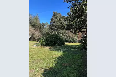 20621 SE Highway 42, Umatilla, FL 32784 - Photo 5
