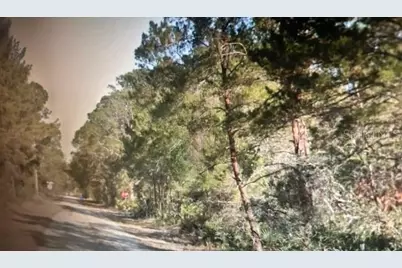 3248 Glen Springs Avenue, Lake Placid, FL 33852 - Photo 3