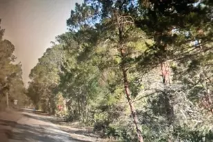 3248 Glen Springs Ave, Lake Placid, FL 33852 - Photo 3