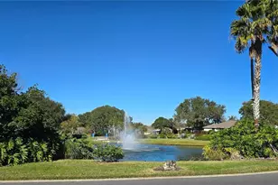 3370 St Lucia Ct, Tavares, FL 32778 - Photo 41