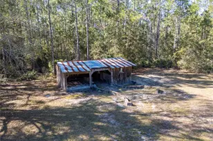 10411 County Rd 474, Clermont, FL 34714 - Photo 53